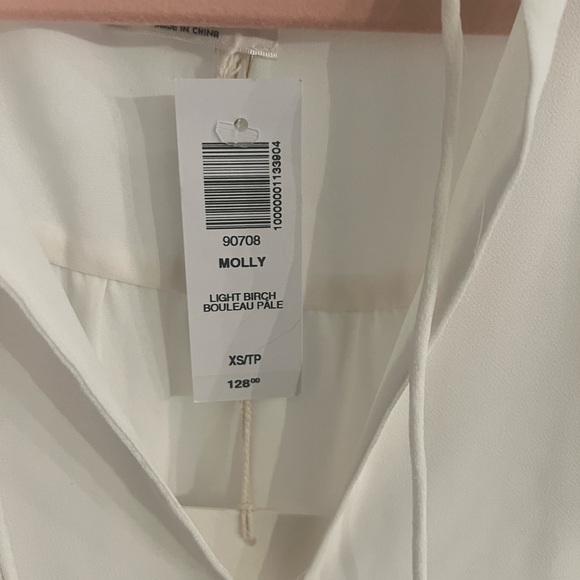 Aritzia Molly Dress - Picture 3 of 4